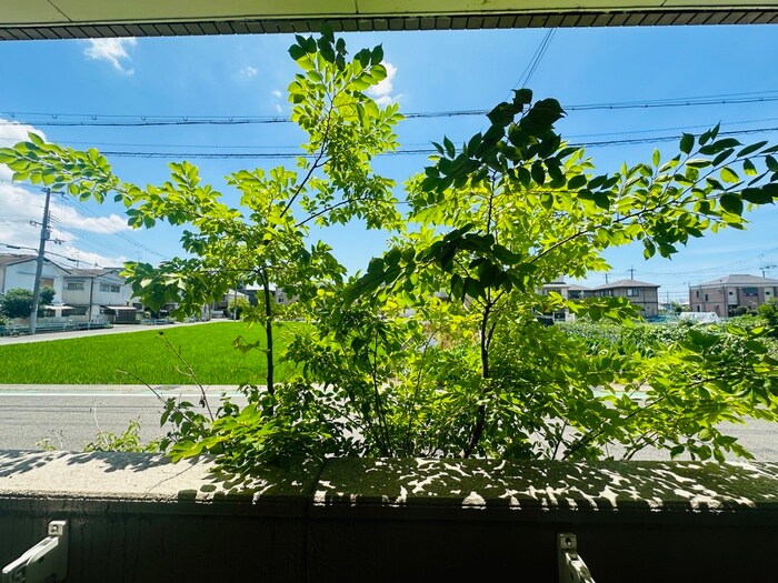 ソレイユ段上の物件内観写真