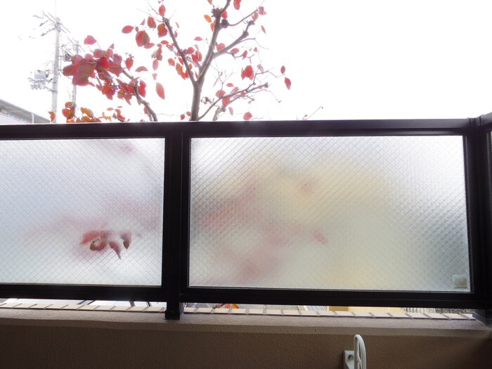 ラ・サンセリテの物件内観写真