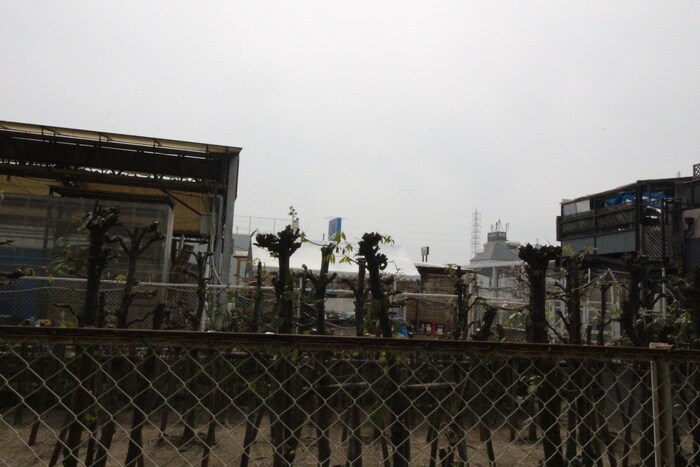 Ｆマンションの物件内観写真