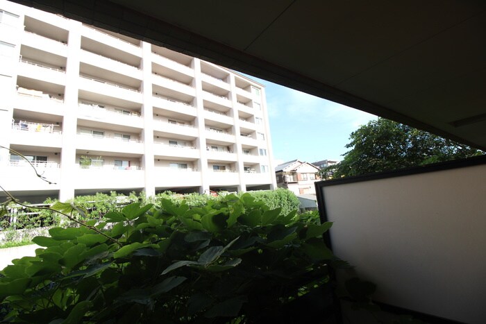 ホワイトハイム北荒見の物件内観写真