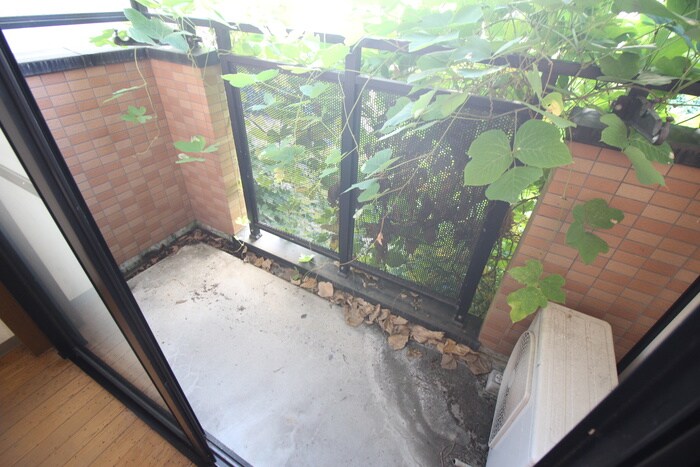 ホワイトハイム北荒見の物件内観写真