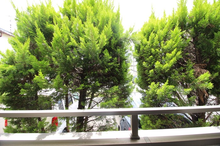 ＨＡＭＡＤＥＲＡ　ＰＵＮＴＯの物件内観写真