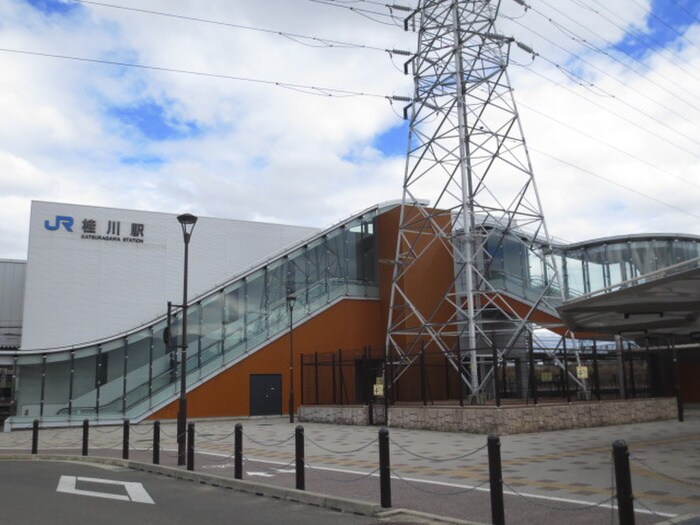 グランレブリー桂川の物件外観写真