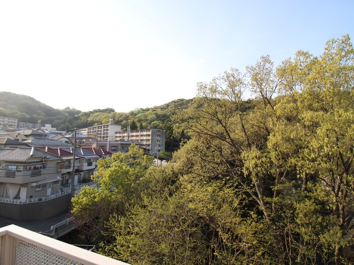 ハイライフひばりヶ丘の物件内観写真