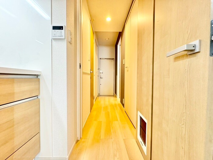 メゾンルミネ若松の物件内観写真