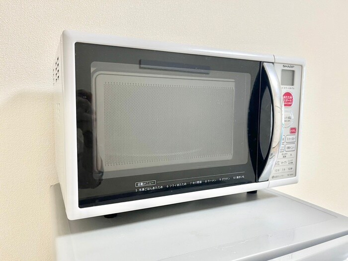 ラフィ－ネ枚方の物件内観写真