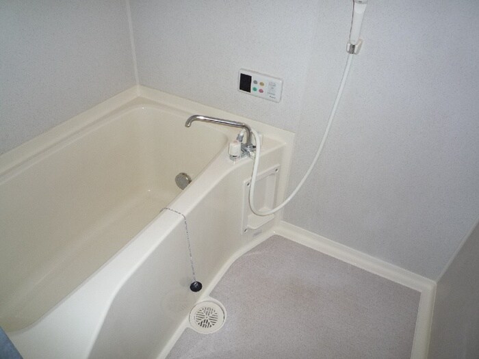 ﾌﾞﾛｯｻﾑ氷室の物件内観写真