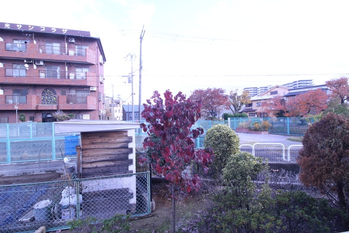 シャン・ド・フル－ルⅢ番館の物件内観写真