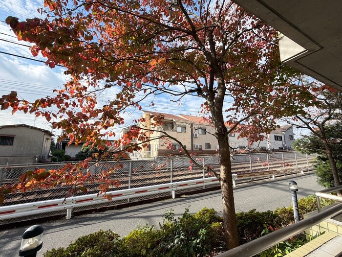 グレースコート山手町の物件内観写真