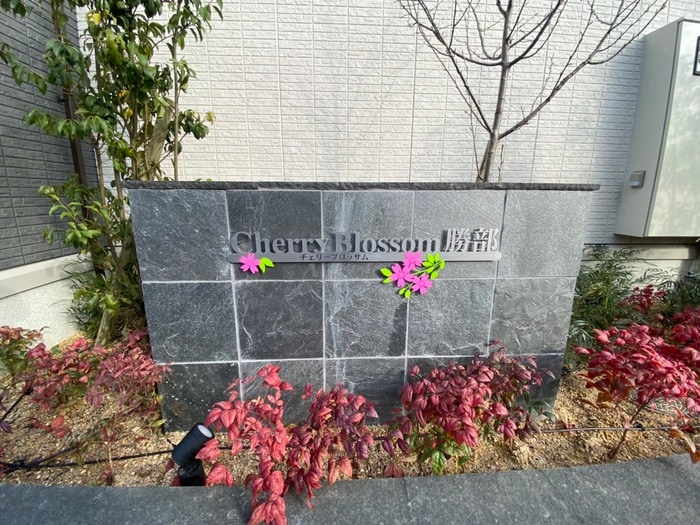 チェリーブロッサム勝部の物件外観写真
