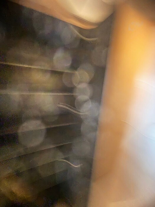 プレジオ永和ASIANの物件内観写真