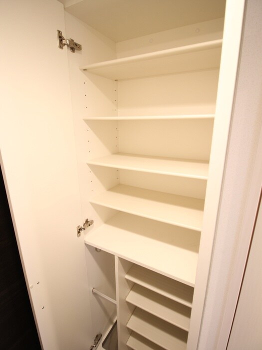 プレサンス京都洛南（２０４）の物件内観写真