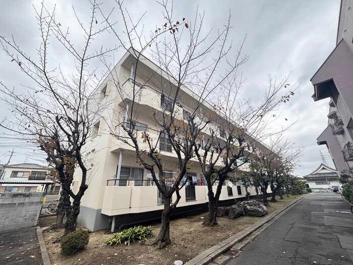 メゾンティックⅡの物件外観写真