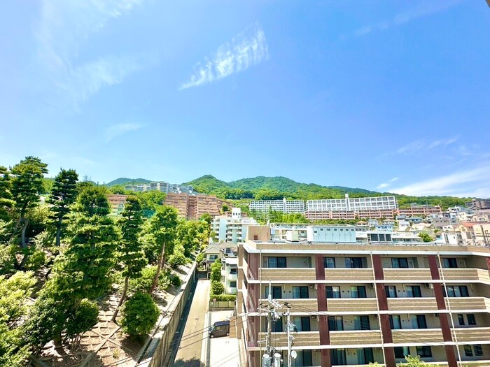 ﾗｲｵﾝｽﾞ芦屋ｸﾞﾗﾝﾌｫｰﾄ(502)の物件内観写真