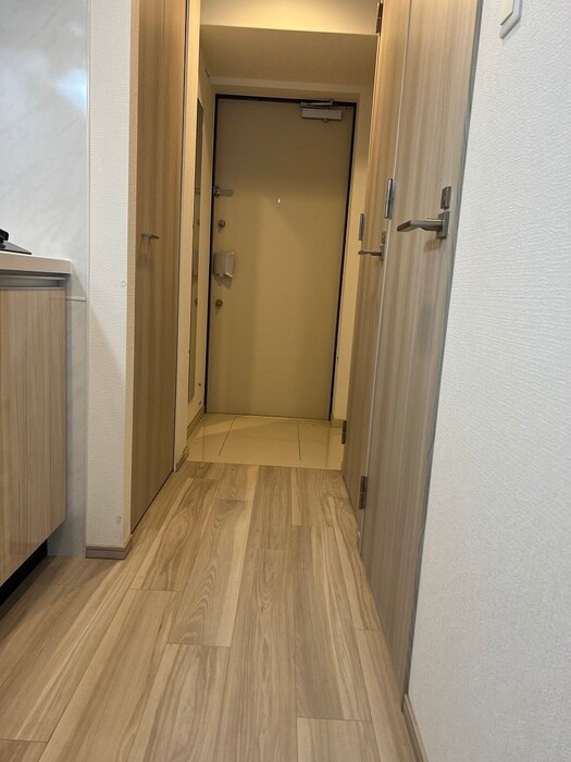 アドバンス三宮パルマ（1102）の物件内観写真