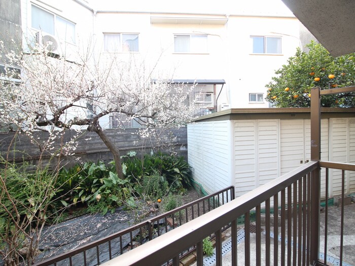 Ｃｏｌｉｎａ尺谷の物件内観写真