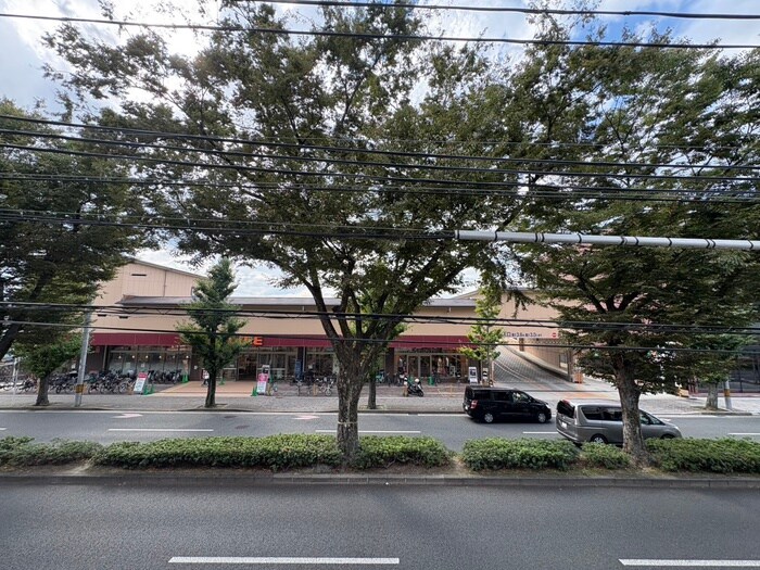 THE RESIDENCE 北白川の物件内観写真