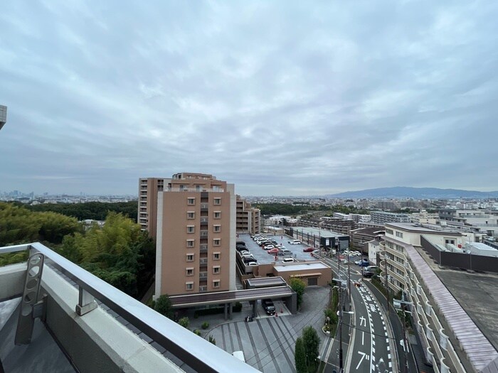 ＰＨＯＥＮＩＸ緑地公園の物件内観写真
