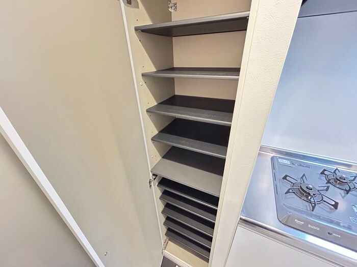 LUMINOUS GRANDEの物件内観写真