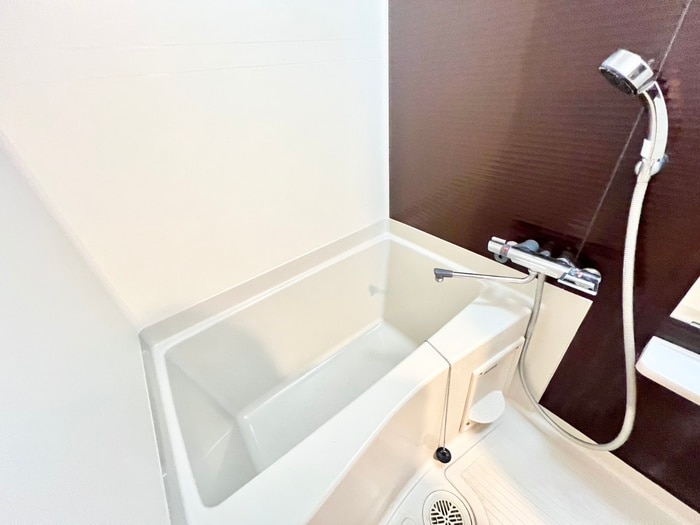 ＬＵＸＥ中書島の物件内観写真