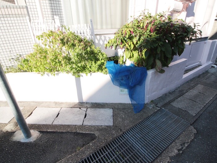 ルネサンスの物件外観写真