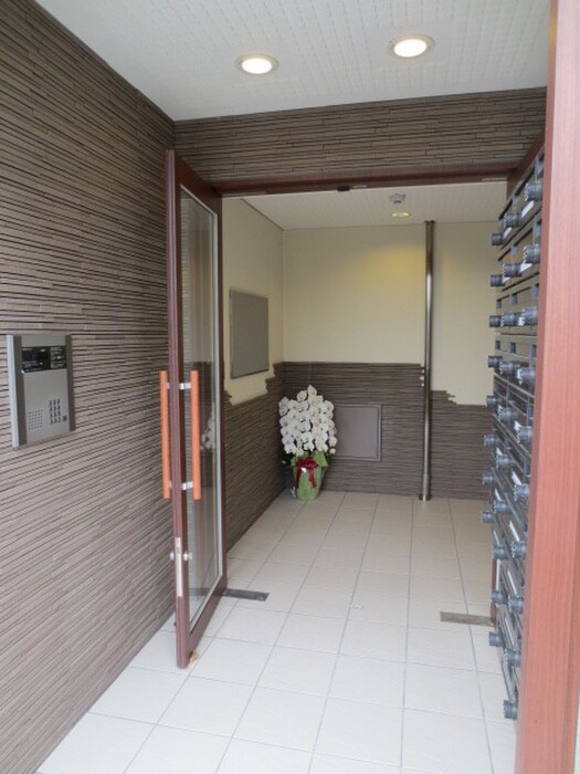 Ｄ・マローネ桂の物件外観写真