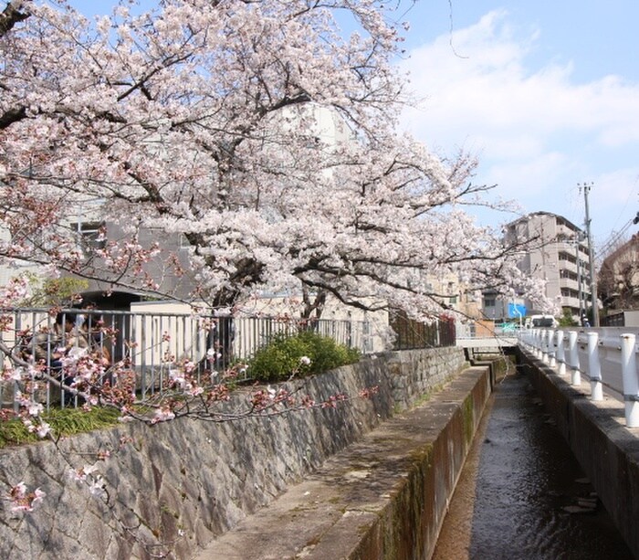 銀閣寺道レジデンスの物件外観写真