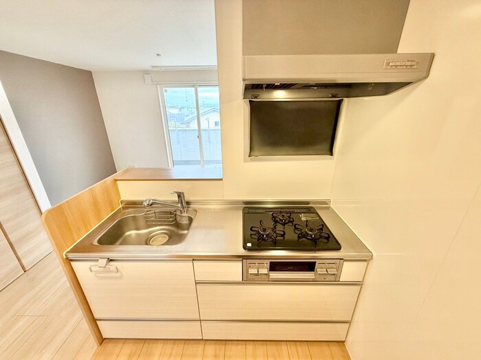 ラフィーネ木幡の物件内観写真