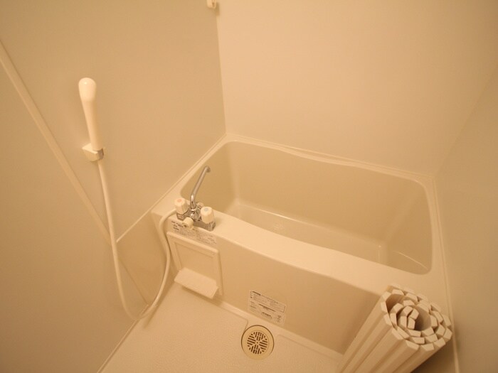 メゾントレビナの物件内観写真