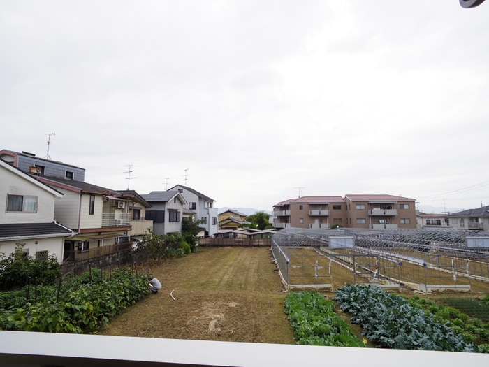 ティンカー・ベルの物件内観写真