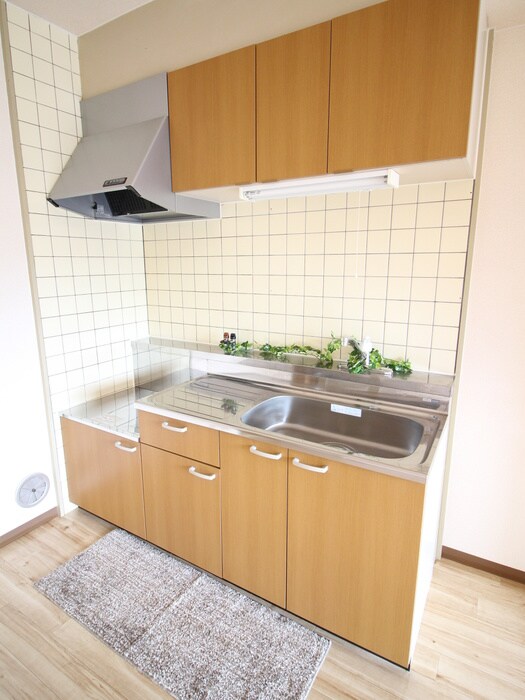 桐朋ハイツの物件内観写真