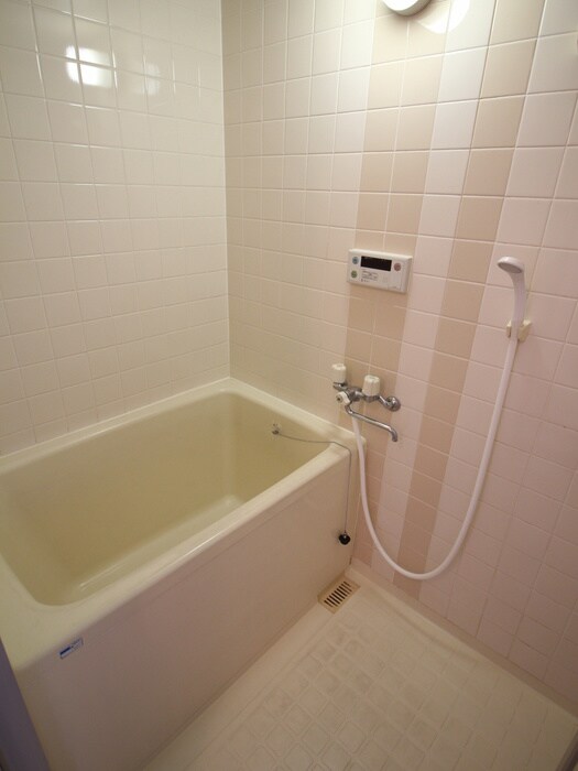 桐朋ハイツの物件内観写真