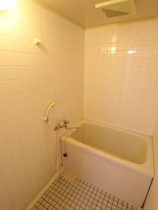 Palaisdu　Camelliaの物件内観写真