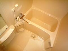 ｸﾗｳﾝﾊｲﾑ北心斎橋ﾌﾗﾜ-ｺ-ﾄの物件内観写真