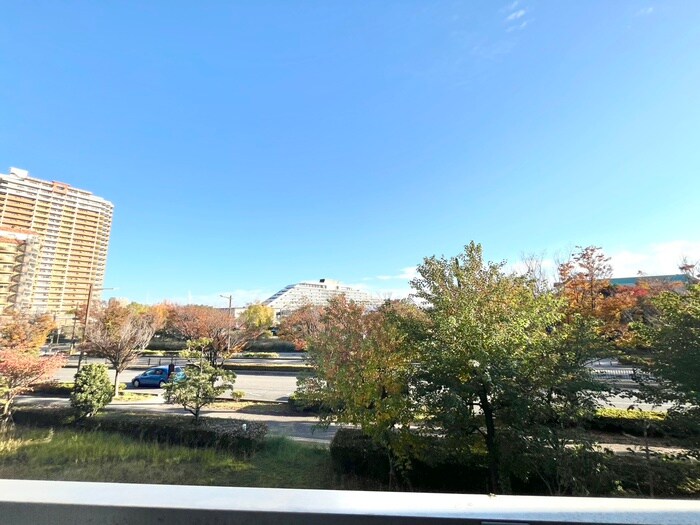 マリナージュ芦屋（２１５）の物件内観写真