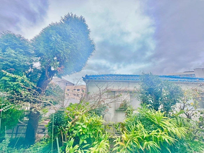 メゾンALL-INの物件内観写真