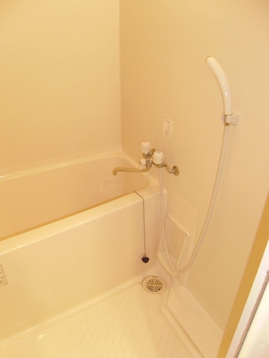 メゾンパティオⅡの物件内観写真