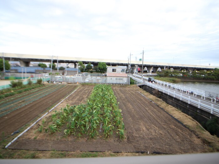 インヴィテ・ボヌ－ルⅡ番館の物件内観写真