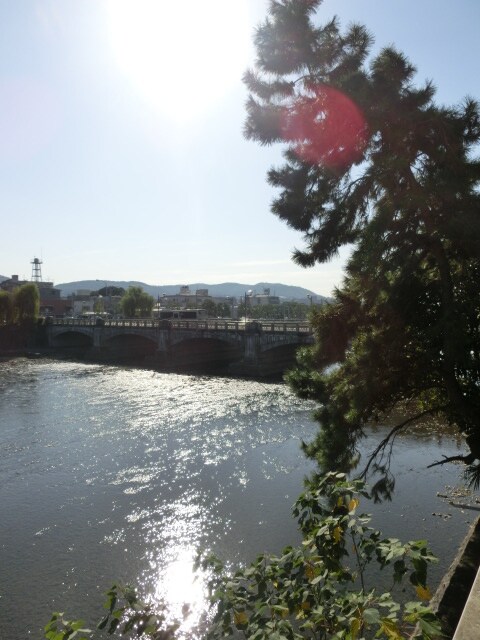 ベレヴュー鴨川の物件内観写真