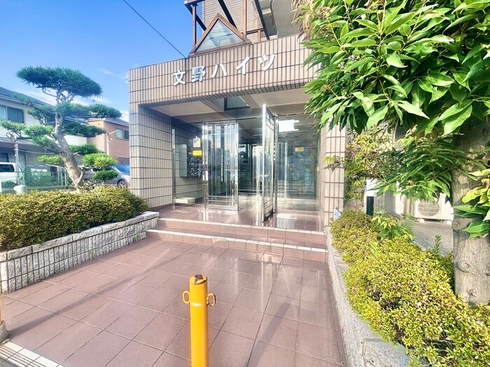 文野ハイツの物件外観写真