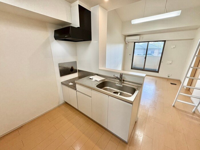 クレモンティーヌCの物件内観写真