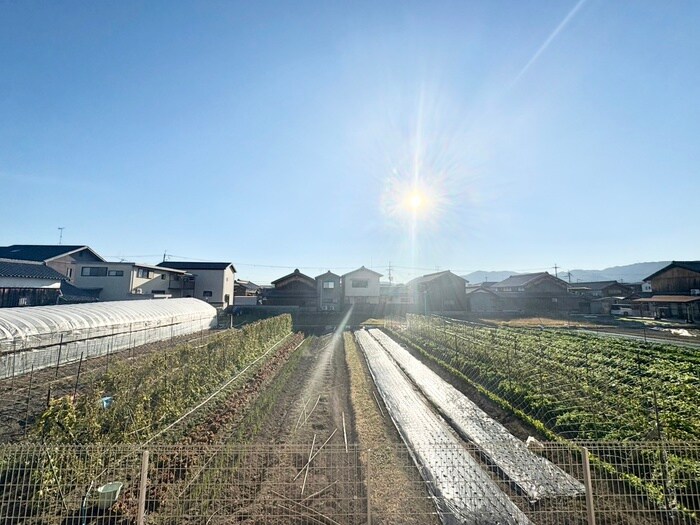 mimoza setaの物件内観写真