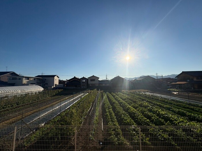 mimoza setaの物件内観写真