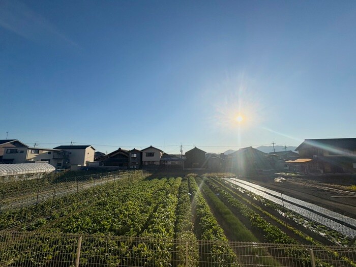 mimoza setaの物件内観写真