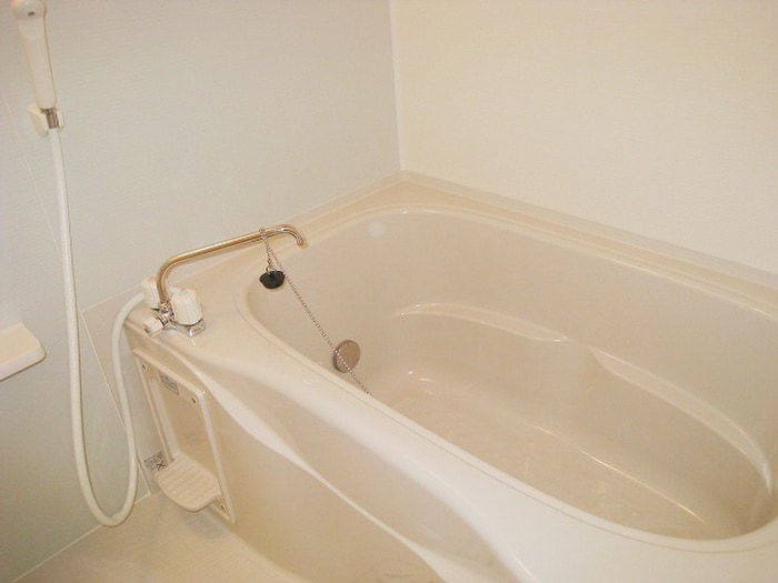 ダイアナレイクの物件内観写真