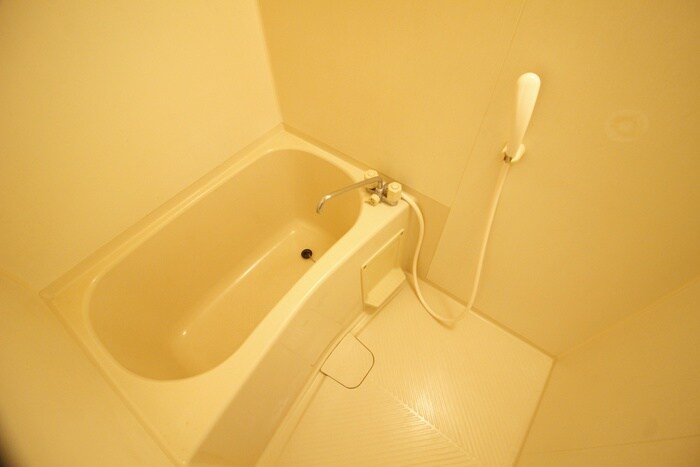 新栄プロパティー住道の物件内観写真