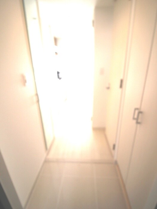 ﾌﾞﾗﾝ弁天町駅前の物件内観写真