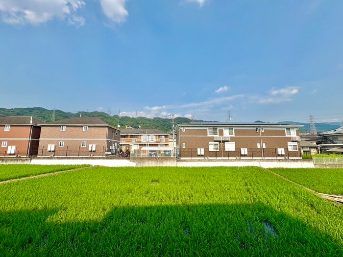 藪下ハイツの物件内観写真