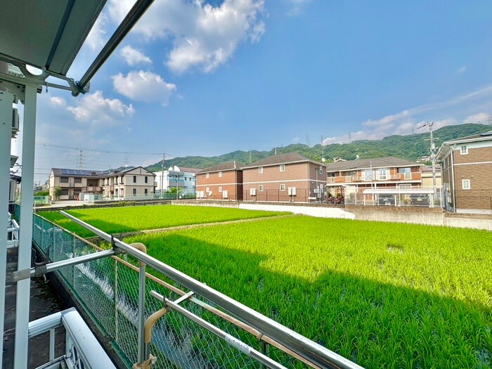 藪下ハイツの物件内観写真