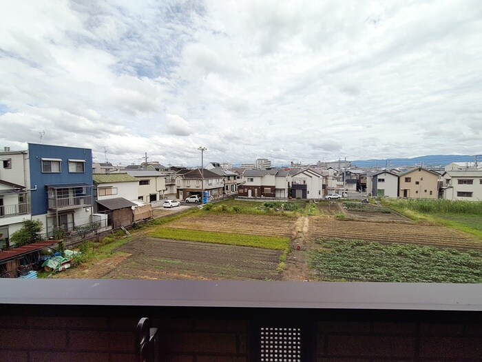 ﾌﾟﾗｰｼﾞｭsakigakeの物件内観写真